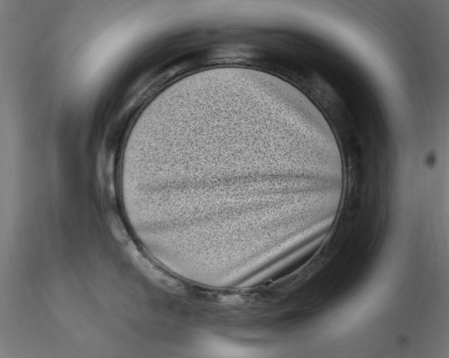 X0000116771054201001071212