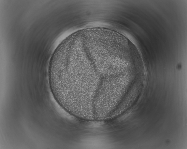 X0000116771055201001071212