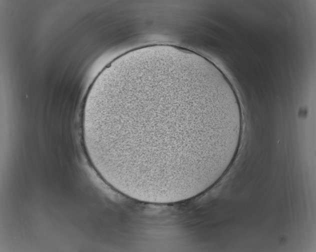 X0000116771056201001071212