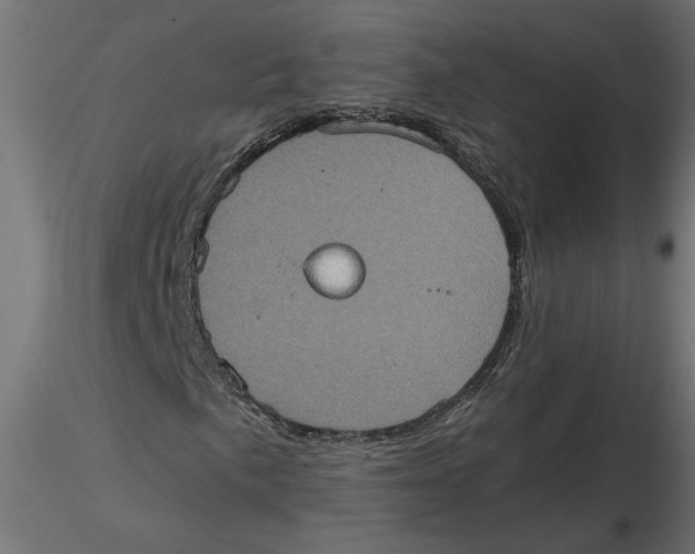 X0000116771057201001071211