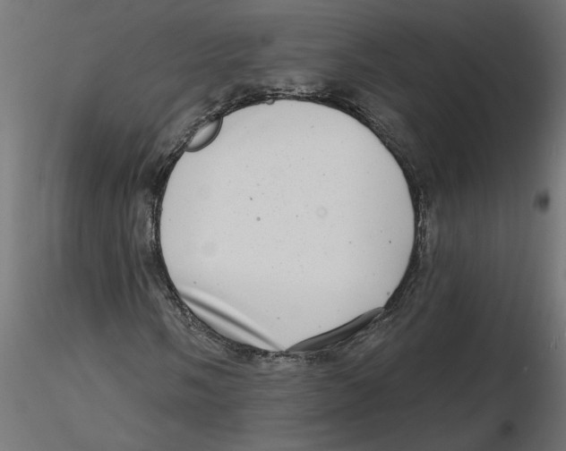 X0000116771058201001071211