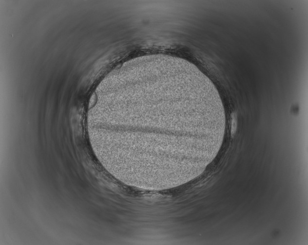 X0000116771059201001071211