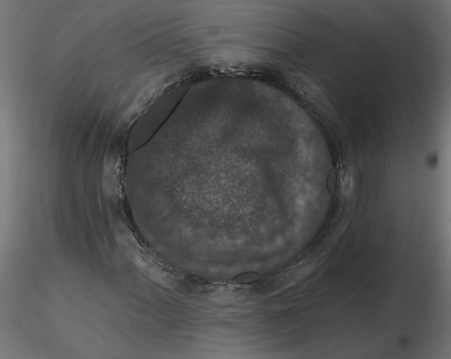 X0000116771060201001071211