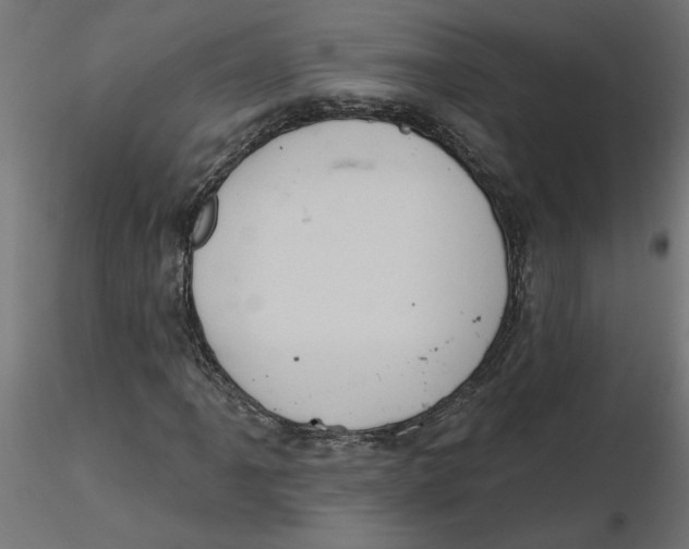 X0000116771061201001071211