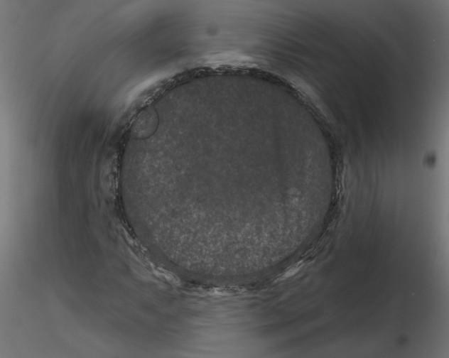 X0000116771063201001071211