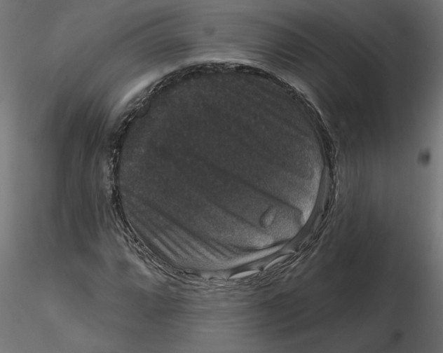 X0000116771064201001071211