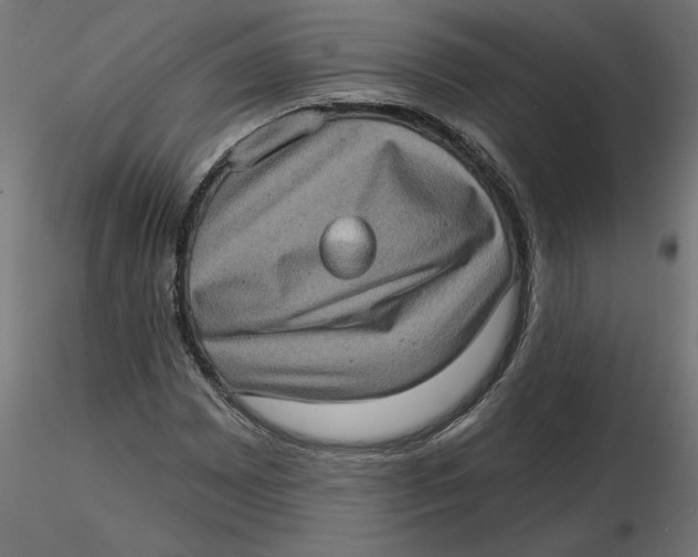 X0000116771065201001071211