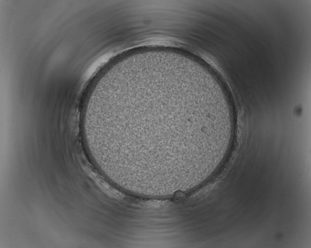 X0000116771067201001071211