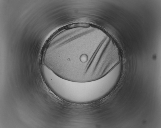 X0000116771068201001071211