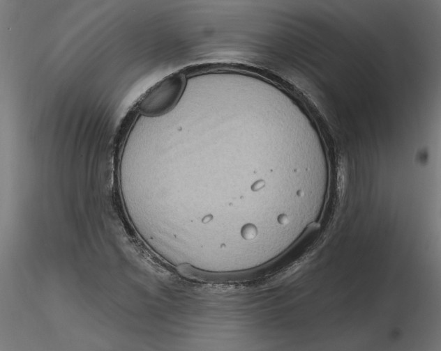 X0000116771069201001071211