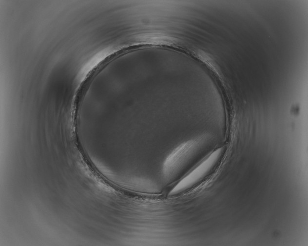 X0000116771071201001071211