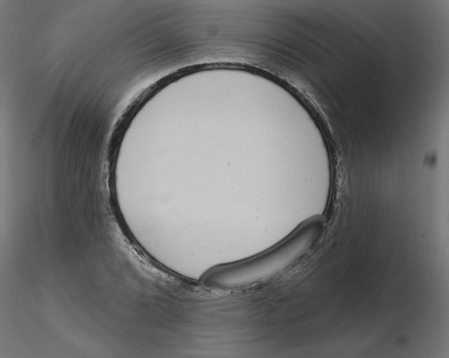 X0000116771072201001071211