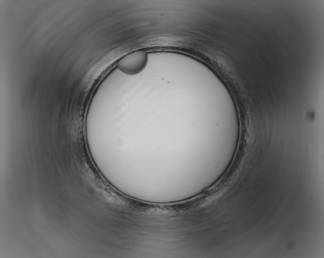 X0000116771073201001071211