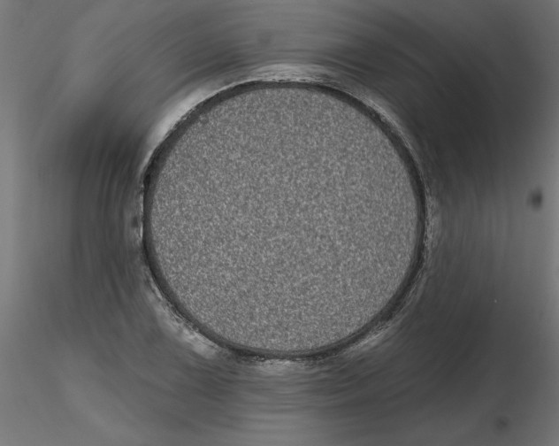 X0000116771075201001071211