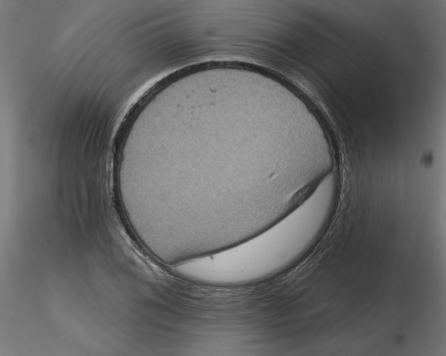 X0000116771076201001071211