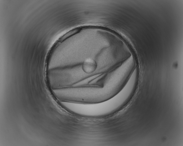 X0000116771077201001071211