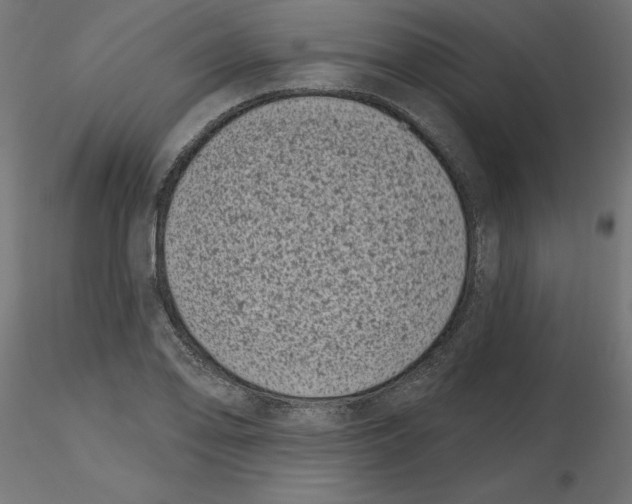 X0000116771078201001071211