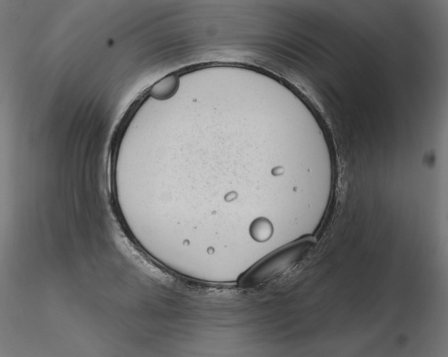 X0000116771080201001071211