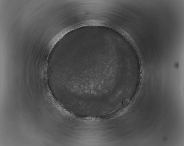 X0000116771081201001071211