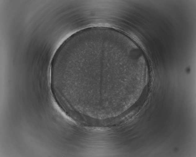 X0000116771084201001071211