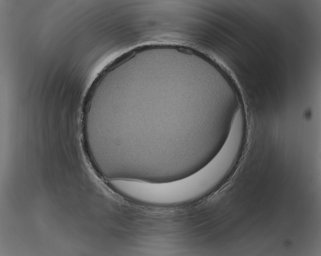 X0000116771085201001071211