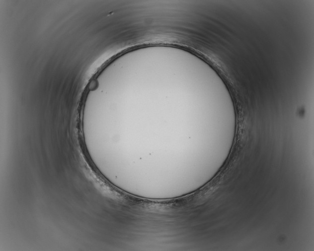 X0000116771086201001071211