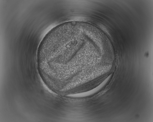 X0000116771087201001071211