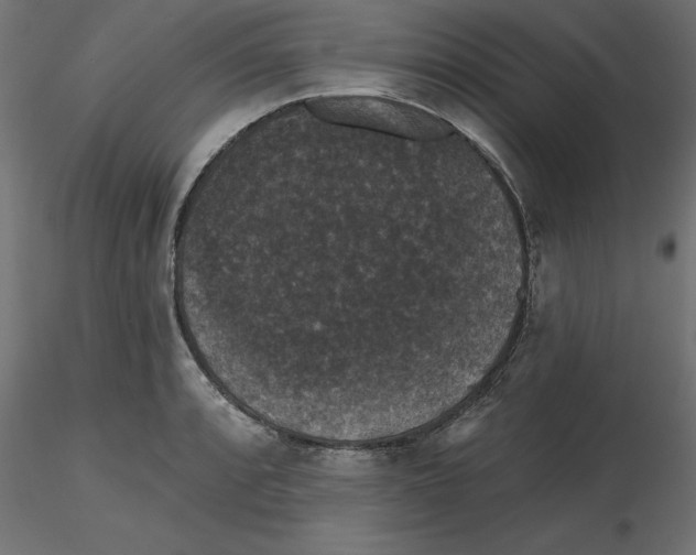 X0000116771088201001071211