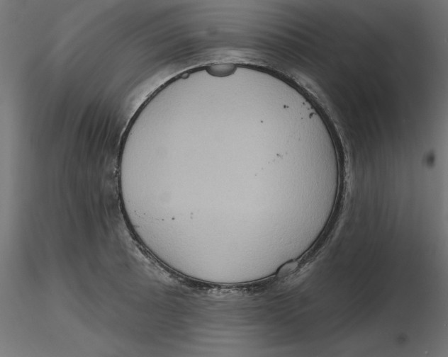 X0000116771089201001071211