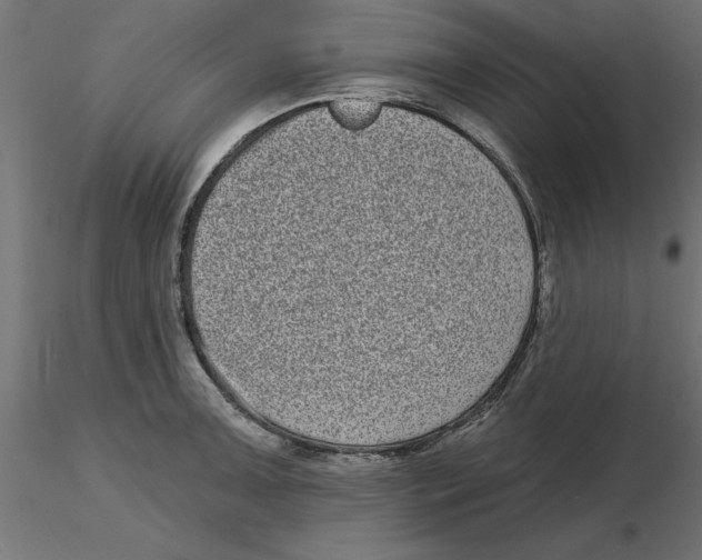 X0000116771091201001071211