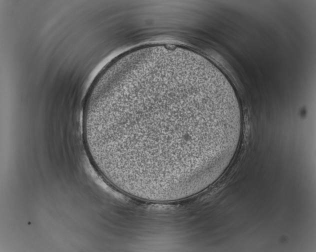 X0000116771092201001071211