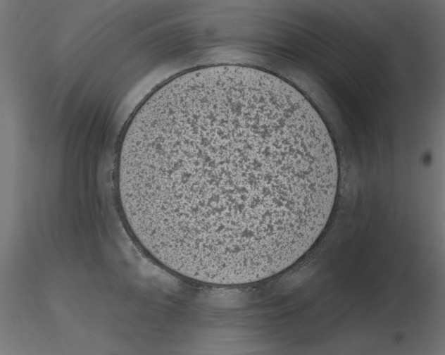 X0000116771094201001071211