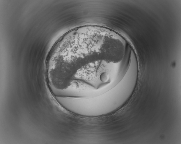 X0000116771096201001071211