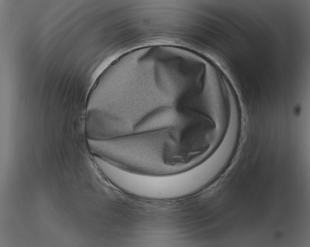 X0000116771097201001071211