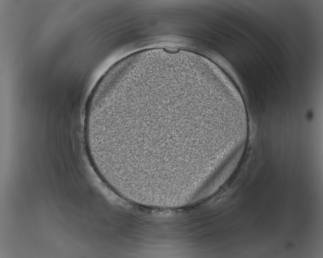 X0000116771099201001071211