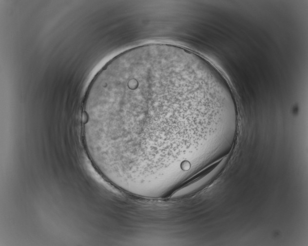 X0000116771100201001071211