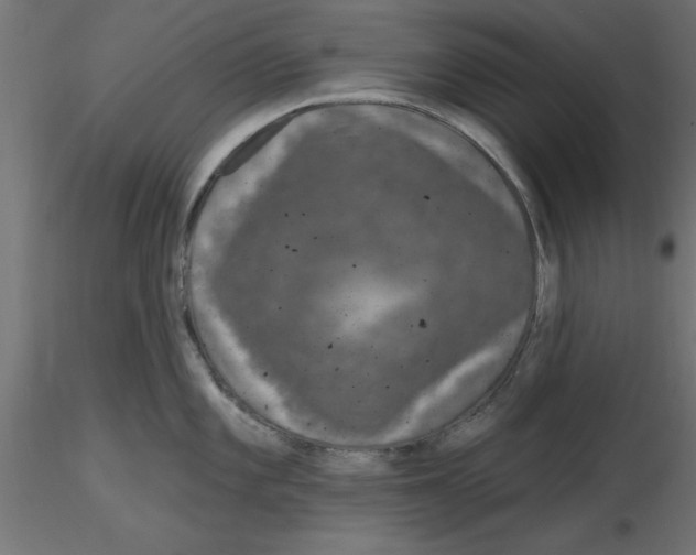 X0000116771101201001071211