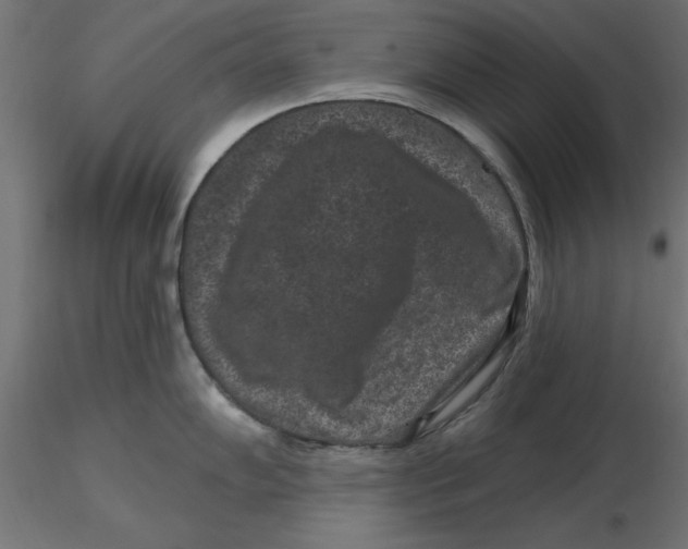 X0000116771102201001071211