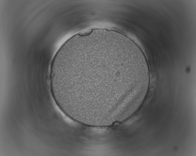 X0000116771103201001071211