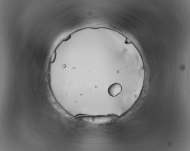 X0000116771104201001071211