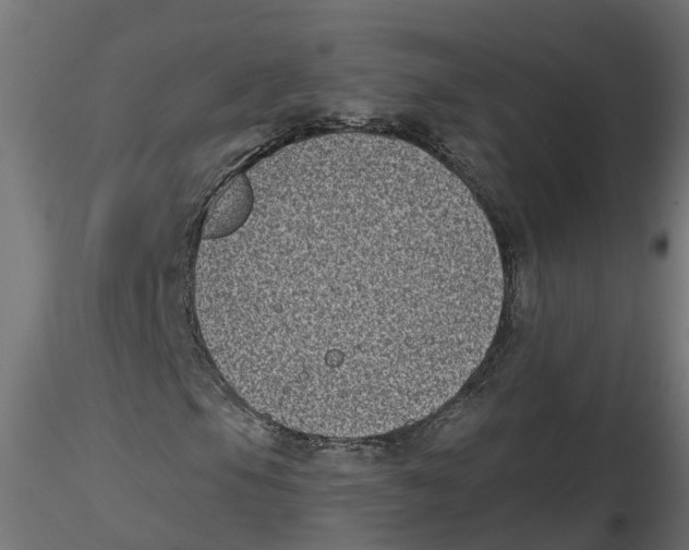 X0000116771105201001071210