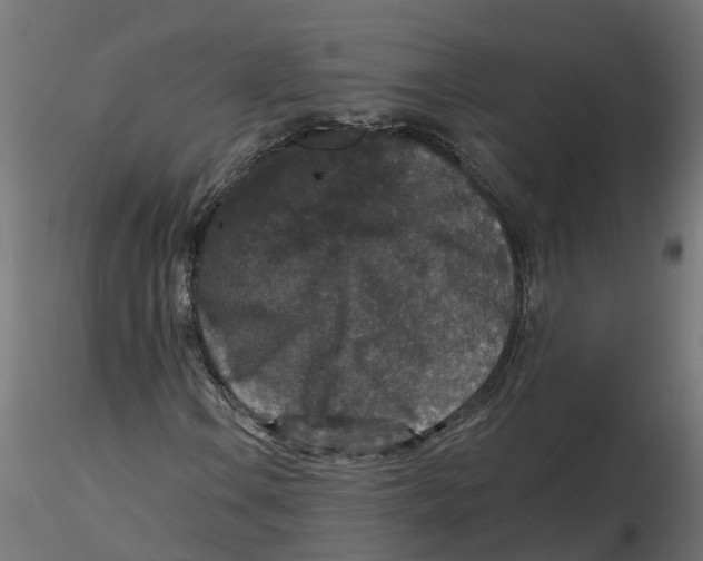 X0000116771106201001071210