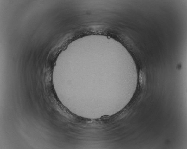 X0000116771107201001071210