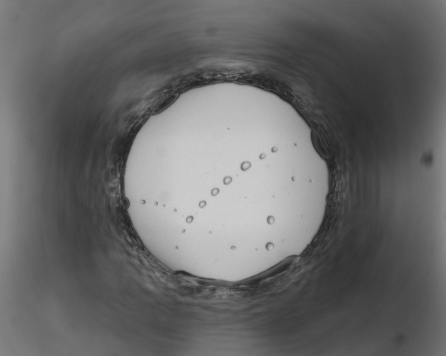 X0000116771109201001071210