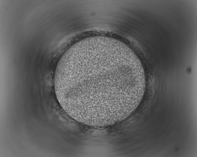 X0000116771110201001071210