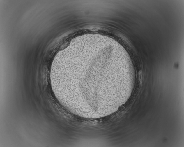 X0000116771111201001071210