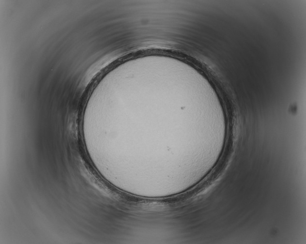 X0000116771113201001071210