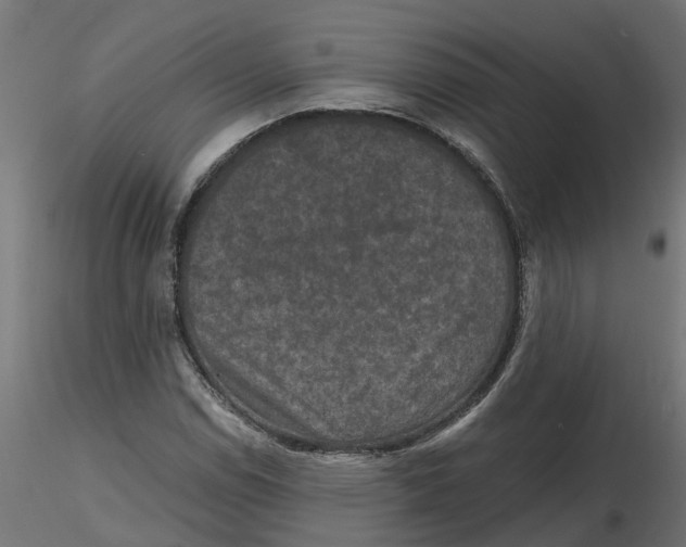 X0000116771114201001071210