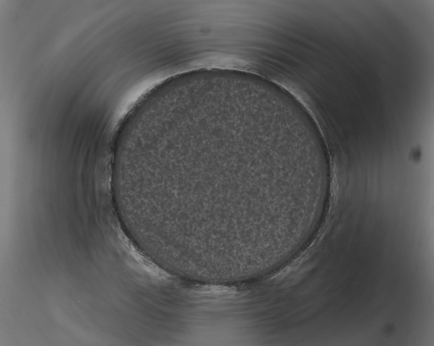 X0000116771115201001071210