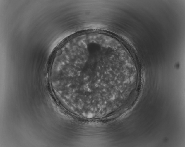 X0000116771117201001071210